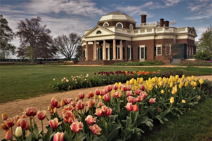 A front view of Monticello surrounded by pink and yellow tulips.