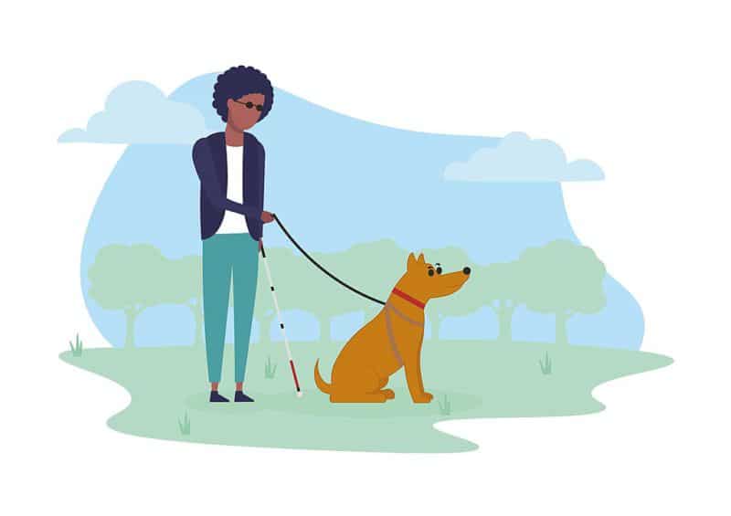 Illustration of visually impaired woman with cane and guide dog. 