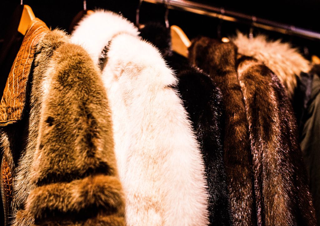 A line of different colored fur coats on hangers.